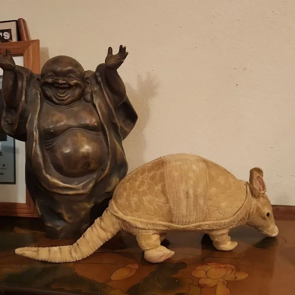 Armadillo Plush